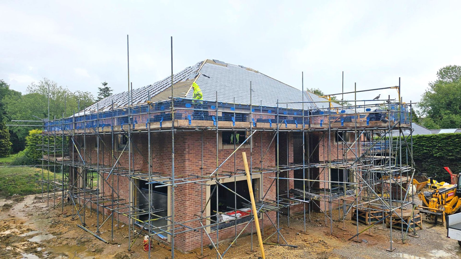 Image Restore - Before